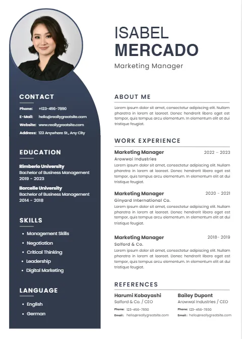 Professional CV Sample